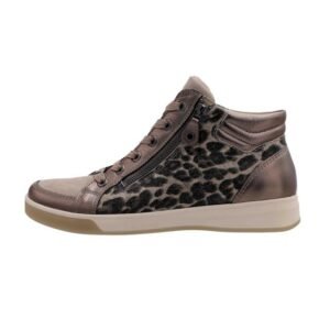 24499-Leopardo